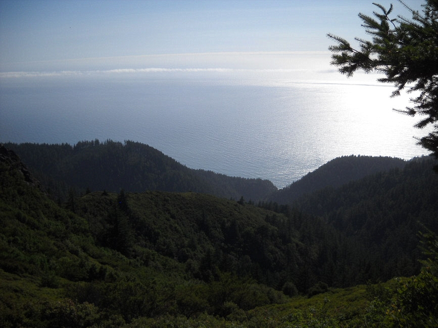 Lost Coast 2010