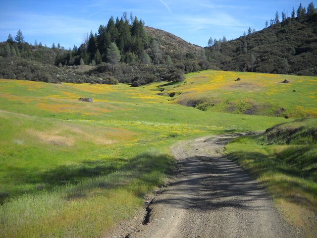 DV March 2011